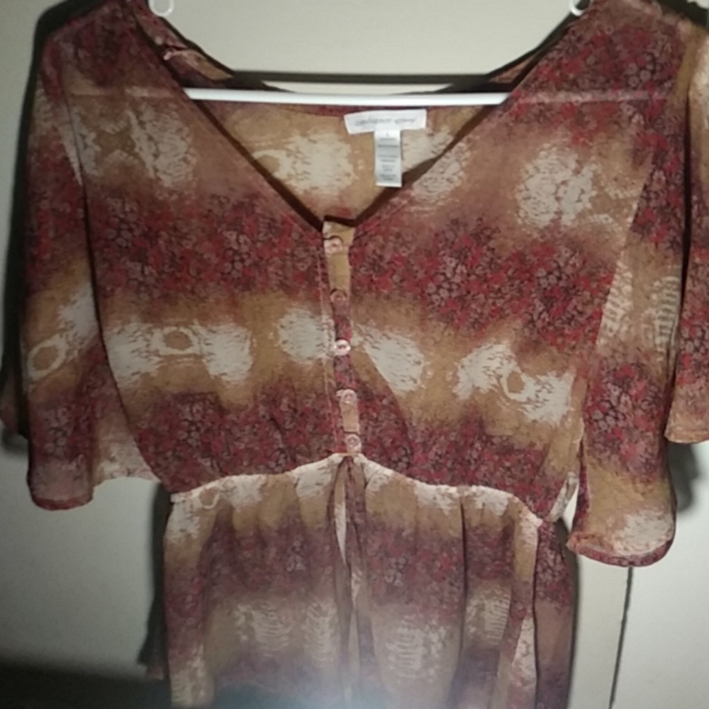 Brownish blouse
